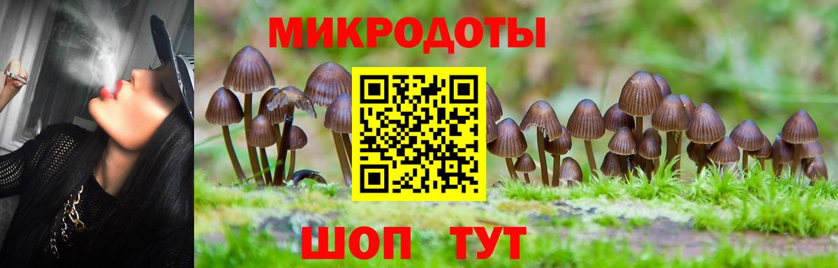 Галлюциногенные грибы MAGIC MUSHROOMS Карпинск